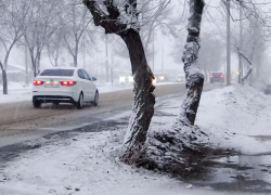 В Камышине на смену мокрому снегу придет мороз 5 февраля