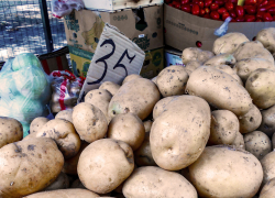 В Камышине цены на картошку замерли на 35-ти рублях