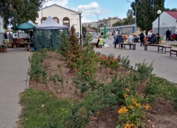 В Камышине после публикации "Блокнота Камышина" пропололи и полили клумбы у бывшей "Победы"