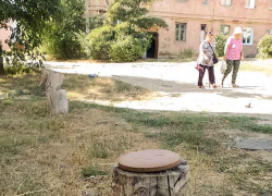 В Камышине во дворах, где нет скамеек, жители вынужденно придумывают ноу-хау из пеньков, - камышанка