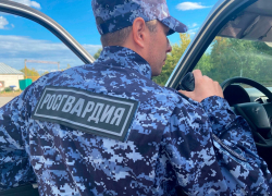 Росгвардейцы задержали в Камышине студента - "потрошителя" автомобилей