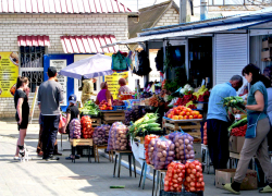 Заваленные картошкой сетевики Камышина сбили цену на нее на рынках
