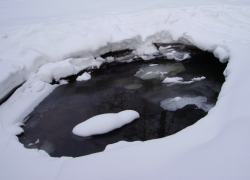 В реке выловили труп избитого и утопленного должника