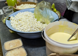 Об опасной "сердечно-легочной" лихорадке Ку предупредили жителей Волгоградской области