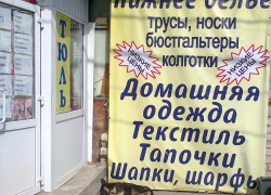 Камышинских бездомных псов дополнительно обещают охватить стерилизацией на безвозмездной основе