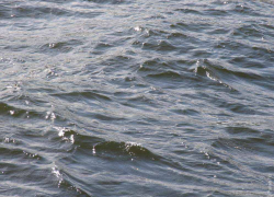 Родителей одного из утонувших в Хопре подростков готовят к опознанию тела