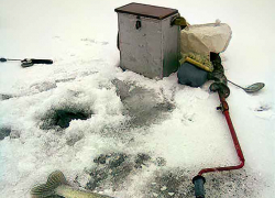 В Камышине мартовские морозы днем начнут стремиться к нулю, но ночами  сохранятся