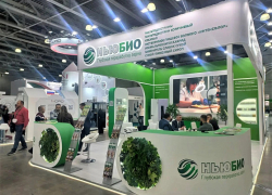 Конфеты, соленья, переработанная кукуруза "поехали" из Волгоградской области в Москву