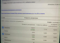 Как похожим на боты "читателям" камышинского сайта "Инфокам" пытаются "впрыснуть" ума ради спектакля с рейтингом СМИ