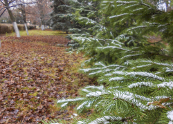 Ветер стихнет к концу дня, мороз укрепится: погода в Камышине 14 декабря