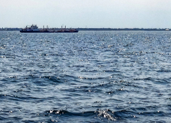 +29 и освежающий ветерок с северо-запада: погода в Камышине 25 июля