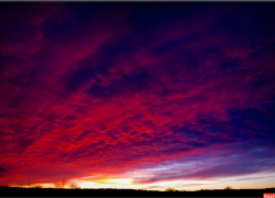 В Камышине 49-летний мужчина заперся в квартире и свел счеты с жизнью