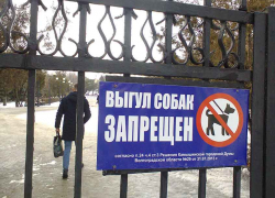 В парках Камышина запрещают выгул собак, еще бы запретить "выгул" алкашей! - пенсионерка