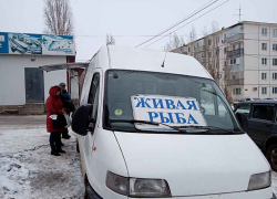 В Камышине, как и в России, малый и средний бизнес не будут проверять еще год