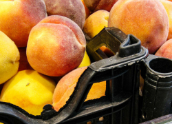 Камышинские неброские персики "забивают" по популярности привозные