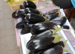 Фавориты овощных закусок - камышинские баклажаны появились на местных рынках