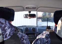 В Камышине росгвардейцы задержали вора-рецидивиста