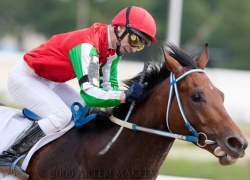 В Камышине предпринимательница покупала костюмы, чтобы скакать на лошадях, но в итоге от нее "ускакали" больше 20 тысяч рублей 