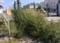 "В доме стоял удушающий запах чего-то химического", - камышанин