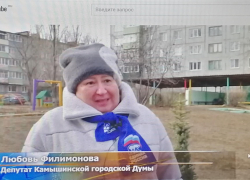 В Камышине депутаты и чиновники повязали шарфы "Единой России" и опять пошли сажать елки