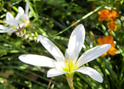 В Камышине солнечно, но немного прохладнее: погодная повестка на 16 сентября