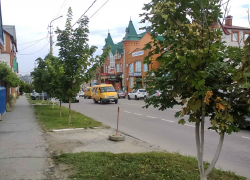 Операция "Перевозчик": кого проверяет в Камышине ГИБДД?