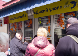 Камышане, будто под гипнозом, продолжают перечислять деньги мошенникам
