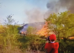 В Камышине у трассы полыхает в полнеба камыш (ВИДЕО)