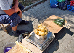 Обыкновенная камышинская картошка с грядки - 70 рублей за килограмм в июле: это как? - камышанка