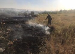 Как в Камышинском районе спасали от пожара дубовый лес под Антиповкой
