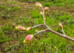 Потеплеет, но дожди не отступят: погода в Камышине на сегодня, 26 апреля