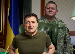 Переворот будет в ближайшие месяцы: Зеленского скинут — киевский режим возглавит Залужный, - "Блокнот - Россия"