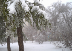 После "нуля" и мокрого снега Камышин проморозит до -11-ти: погода на выходные