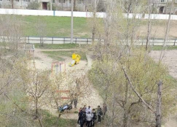 "Мальчик в серой футболке выдрал доску из скамейки и пошел бить по детской горке, заливаясь "счастливым смехом", - камышанка