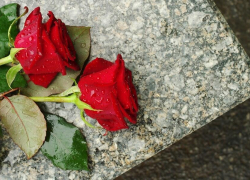Молодая женщина 39 лет, обратившаяся к медикам в первый день болезни, скончалась от коронавируса в Камышине