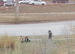 В Камышине "оранжевые жилеты" вышли на обрезку деревьев