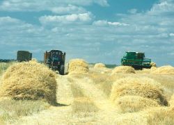 В Камышинском районе партии выставили столько своих сторонников на должности сельских глав, что политический конкурс дошел до 5-ти кандидатов на мандат