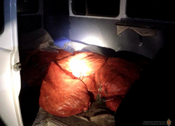 Оперативники изъяли у браконьеров почти 4 тысячи живых раков