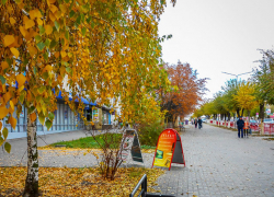 Публикаторы администрации Камышина подробно рассказали о завтрашнем, 8 ноября, крестном ходе