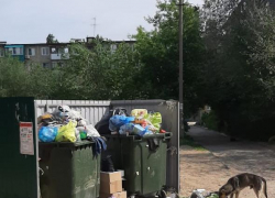 Администрация Камышина через апелляцию отстаивает мусорную стоянку, опасную для взрослых и детей