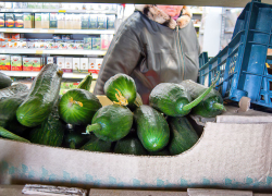 Огурцы и капуста сместили «золотые» яйца с "пьедестала" подорожавших продуктов в Волгоградской области