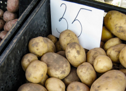 На камышинских рынках подешевела картошка