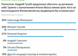 Волгоградский политолог предложил "обкатать" на жителях Волгоградской области практику выдвижения во власть местных успешных бизнесменов