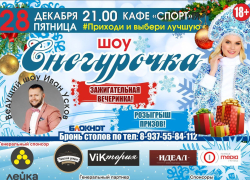 Финал конкурса "Снегурочка-шоу", объявленного "Блокнотом Камышина", пройдет 28 декабря в кафе "Спорт"