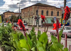 В голосовании камышан по площадкам благоустройств ожидаемо победила улица Советская