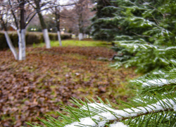 Арктические ветра продуют Волгоградскую область, в том числе Камышин, на ближайших выходных