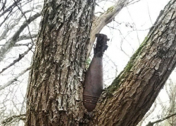 В Камышине возле речного порта обнаружили неразорвавшийся снаряд от гранатомета