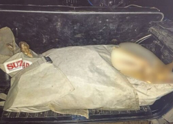 Полицейские Камышина задержали подозреваемого в браконьерстве