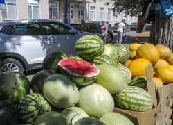 В Камышине начался сезон найма горожан на погрузку арбузов и дынь