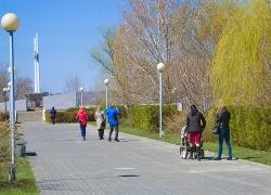 Волгоградцы потребовали прямых выборов мэра, камышане с таким требованием следующие?